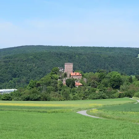 מלון & Drei Lilien 2*