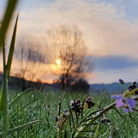 & Drei Lilien 베르바크