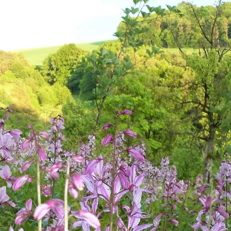 & Drei Lilien 베르바크