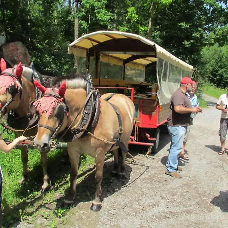 & Drei Lilien 베르바크