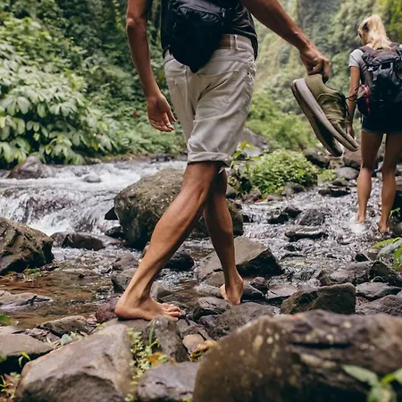 & Drei Lilien 베르바크