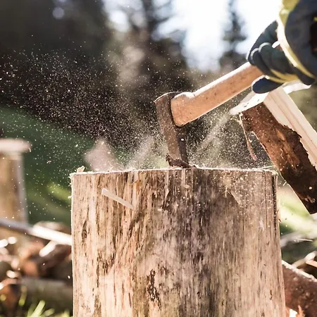 호텔 & Drei Lilien 베르바크