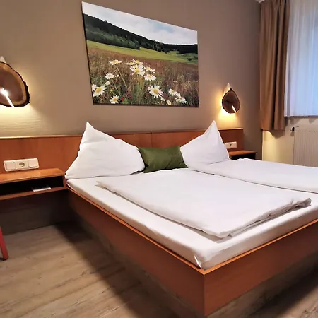 호텔 & Drei Lilien 베르바크