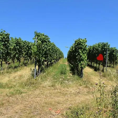 호텔 & Drei Lilien 베르바크