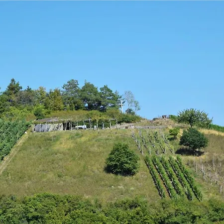 & Drei Lilien 호텔 2*