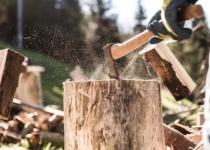 Hotel & Drei Lilien Werbach